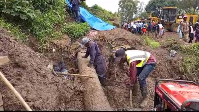 Screenshot_20240119-203539