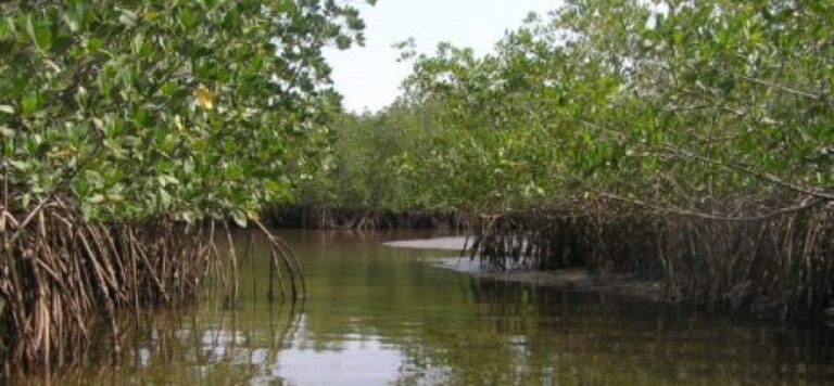 zone-humide-37wlj14um0vqk9odv2at56