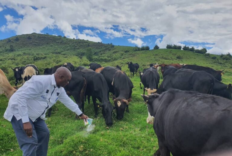 Screenshot_20240418-214823