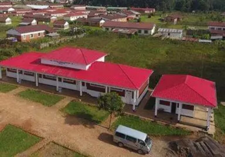 Screenshot_20250117-210801