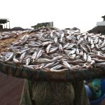 21953939023_190fa9bde8_o-1536x1024