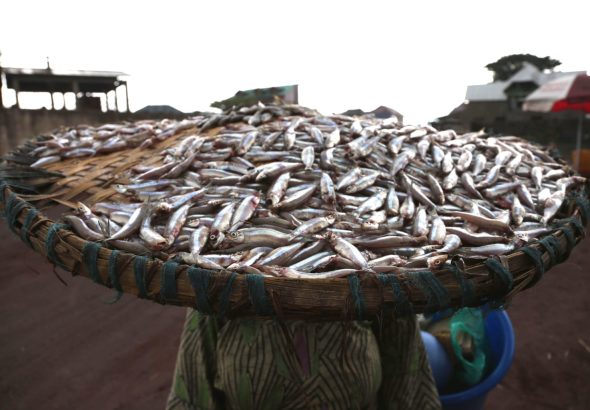 21953939023_190fa9bde8_o-1536x1024