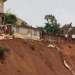 bitmap_500_nocrop_1_1_20200112134201847242-6156B8DE