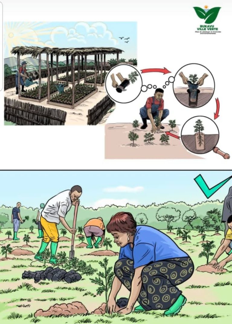 FB_IMG_1772387711786