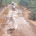 Screenshot_20260317-165638