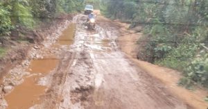 Screenshot_20260317-165638