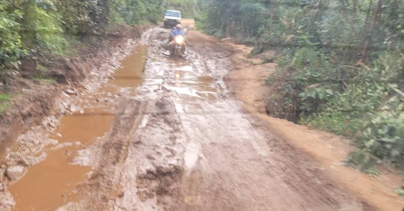 Screenshot_20260317-165638