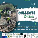 IMG-20260413-WA0105(1)